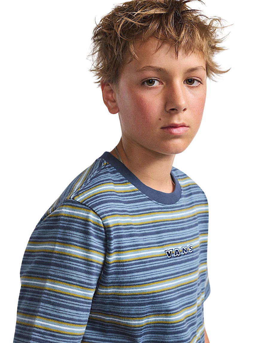 Vans Boys Cameron Stripe T-Shirt in Stormy Weather & Parisian Night Blue